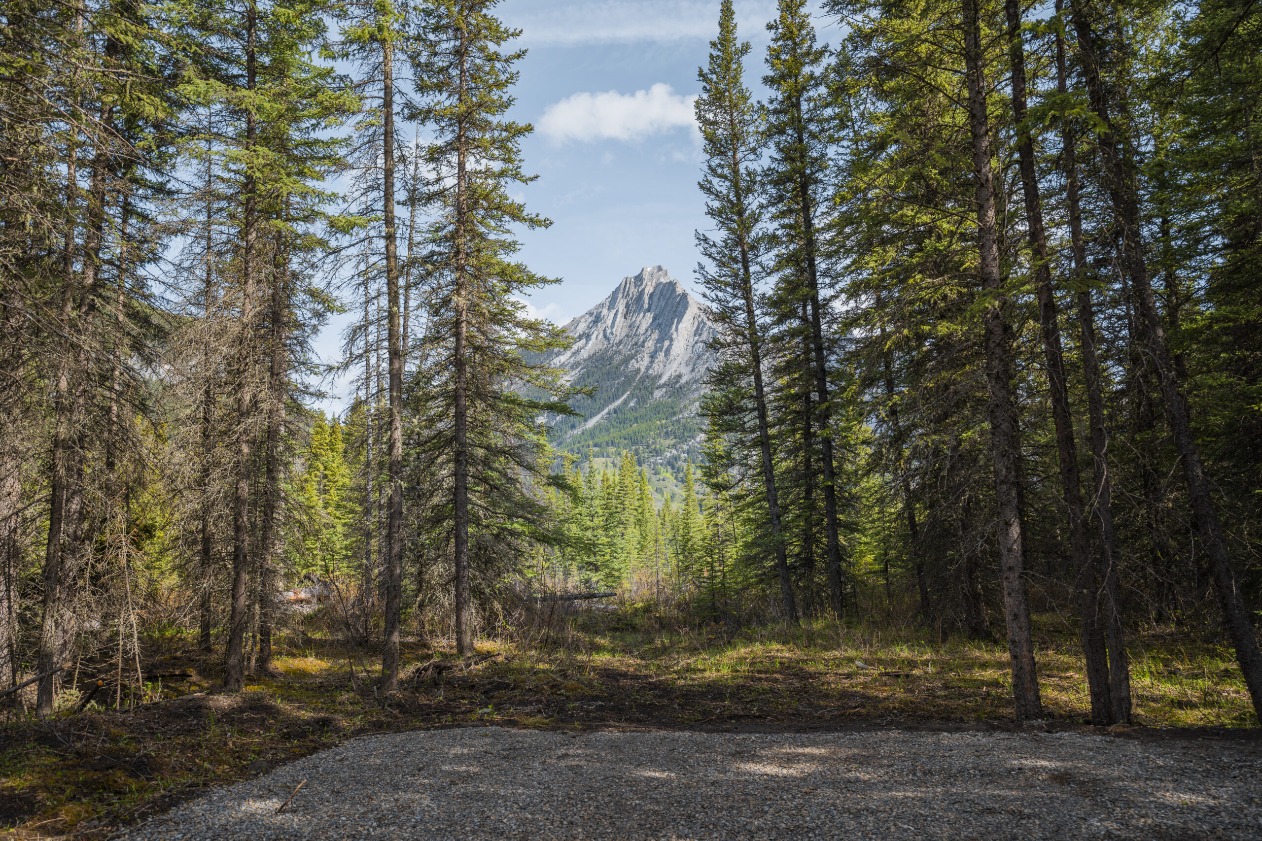 Campsite