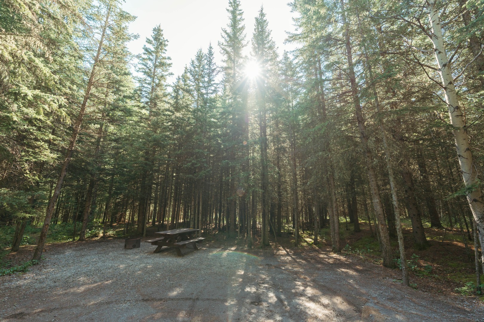 Campsite